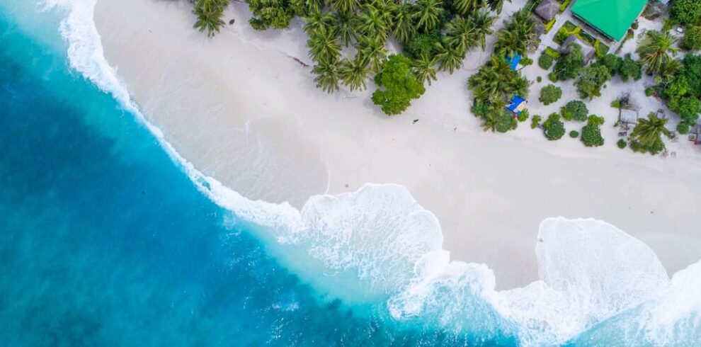 shifaaz-shamoon-Rl9l9mL6Pvs-unsplash-990×490
