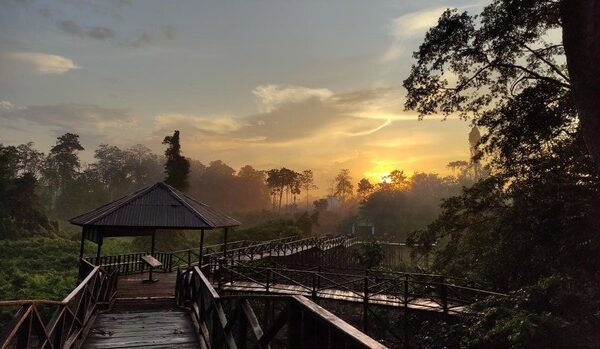 taman-nasional-kutai-foto-tnkutaiorg